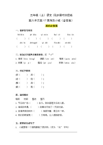 小学统编版（2024）第六单元17 海滨小城精品课时作业