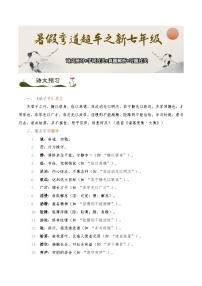 《诫子书》诗文预习+字词过关+真题解析+习题过关-2025年小升初新七年级语文暑假预习超车宝典（统编版2024）