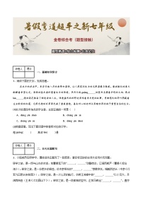【金卷综合考】题型熟悉+综合检测+自我定位-2025年小升初新七年级语文暑假预习超车宝典（统编版2024）