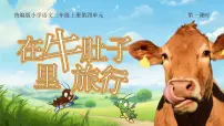 小学统编版（2024）第四单元11 在牛肚子里旅行备课ppt课件