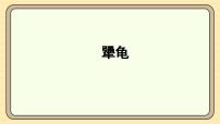 小学语文统编版（2024）三年级上册（2024）第三单元9 犟龟教课ppt课件
