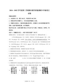 统编版2024-2025学年江苏省宿迁地区六年级下册期末语文检测试卷