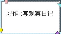 小学语文统编版（2024）四年级上册习作：写观察日记课前预习ppt课件