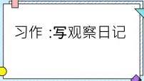 小学语文统编版（2024）四年级上册习作：写观察日记课前预习ppt课件