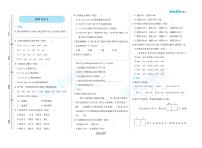 小升初全优必刷卷语文专项练习（含答案）