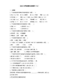 2025六年级小升初语文专项训练-总复习1（26P 详细解析）