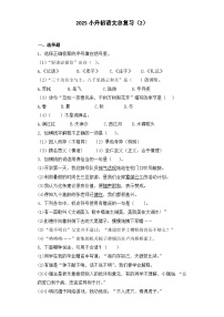 2025六年级小升初语文专项训练-总复习2（26P 详细解析）