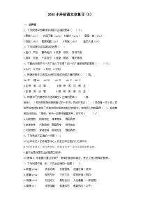 2025六年级小升初语文专项训练-总复习5（24P 详细解析）