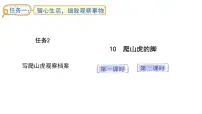 统编版（2024）四年级上册爬山虎的脚课文配套ppt课件