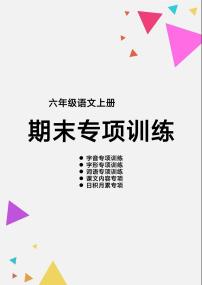 六上语文【期末专项训练】