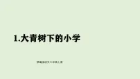 统编版（2024）三年级上册（2024）1 大青树下的小学备课课件ppt