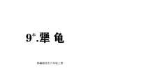 小学语文9 犟龟背景图ppt课件