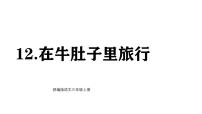 小学语文统编版（2024）三年级上册（2024）第四单元11 在牛肚子里旅行课堂教学ppt课件