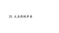 统编版（2024）三年级上册（2024）21 大自然的声音图片ppt课件