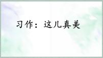 小学语文统编版（2024）三年级上册（2024）第六单元习作 这儿真美授课ppt课件