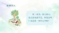 统编版（2024）三年级上册（2024）第七单元22 读不完的大书教课内容ppt课件
