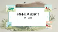 统编版（2024）三年级上册（2024）11 在牛肚子里旅行优质ppt课件
