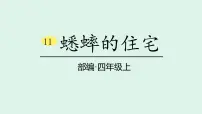 统编版（2024）蟋蟀的住宅课文ppt课件