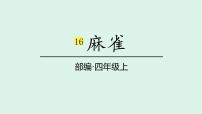 统编版（2024）四年级上册麻雀图文ppt课件