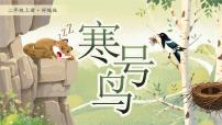小学统编版（2024）第五单元·阅读12 寒号鸟集体备课ppt课件