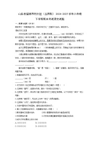 山东省淄博市周村区(五四制)2024-2025学年六年级下学期期末考试语文试卷(解析版)