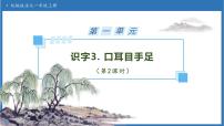 统编版（2024）一年级上册（2024）口耳目手足备课ppt课件