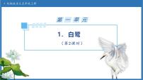 语文五年级上册白鹭备课ppt课件