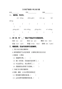 2024学年三年级下册语文统编版第六单元检测卷（有答案）
