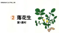 小学统编版（2024）落花生教学课件ppt