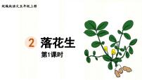 小学语文统编版（2024）五年级上册落花生多媒体教学课件ppt