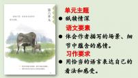 统编版(2024)五年级上册慈母情深授课ppt课件