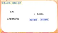 统编版（2024）一年级上册（2024）乌鸦喝水一等奖说课课文ppt课件
