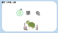 小学语文统编版（2024）三年级上册（2024）第三单元9 犟龟教案配套ppt课件