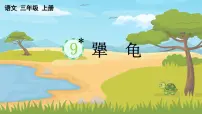 语文三年级上册（2024）9 犟龟图片课件ppt