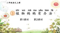 人教部编版 (五四制)二年级上册植物妈妈有办法优秀课件ppt