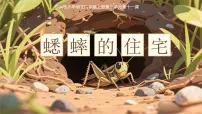 统编版（2024）四年级上册蟋蟀的住宅完美版课文ppt课件