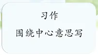 小学语文统编版（2024）六年级上册习作：围绕中心意思写评课课件ppt