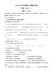 2024-2025学年河南省新乡市高新区统编版六年级下册期末考试语文试卷（含答案）