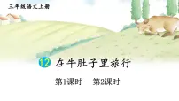 小学语文统编版（2024）三年级上册（2024）12 在牛肚子里旅行说课ppt课件