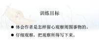 小学语文统编版（2024）三年级上册（2024）14 搭船的鸟图文ppt课件