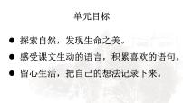 统编版（2024）三年级上册（2024）20 古诗三首课文课件ppt
