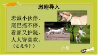 小学人教部编版 (五四制)小狗学叫一等奖课件ppt