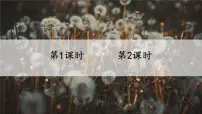 小学语文人教部编版 (五四制)三年级上册金色的草地优质课课件ppt