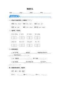 2023-2024学年二年级语文上册——《我是什么》同步练习（含答案）