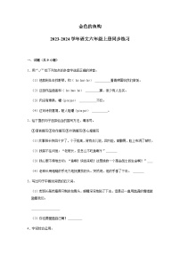 2023-2024学年语文六年级上册——《金色的鱼钩》同步练习（含答案）