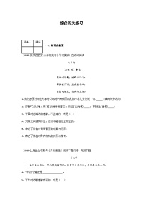 小升初语文古诗鉴赏知识点衔接——《综合闯关练习》练习（含答案）