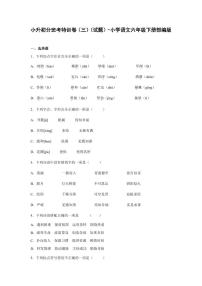 小升初分班考特训卷（三）（试题）部编版语文六年级下册含答案
