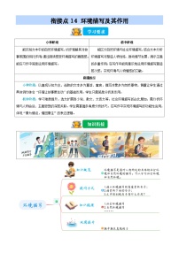 衔接点14 环境描写及其作用（含答案）2025年小升初语文无忧衔接（统编版2024）学案