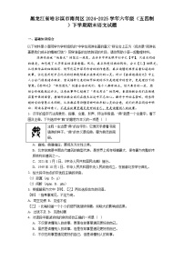 黑龙江省哈尔滨市南岗区2024-2025学年六年级（五四制）下学期期末语文试题（含答案）