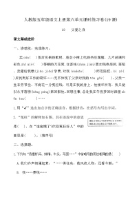 统编版（2024）五年级上册父爱之舟课时练习